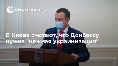 В Киеве считают, что Донбассу нужна "нежная украинизация"