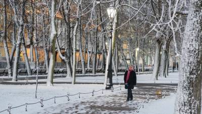 Петербург проводит январь небольшим снегом