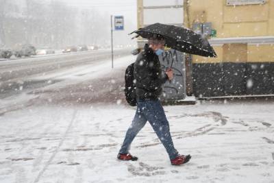 В Петербурге 31 января выпадет небольшой снег