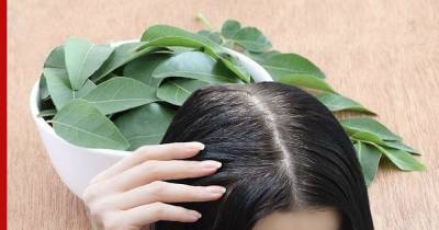 Вернуть цвет седым волосам может помочь индийское растение