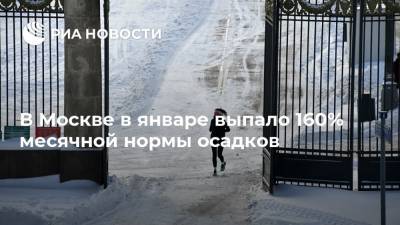 В Москве в январе выпало 160% месячной нормы осадков