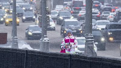 Синоптики рассказали о погоде в Москве 31 января