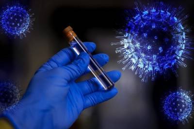 Более 230 новых случаев заражения коронавирусом подтверждено в Карелии