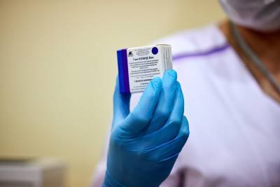 В Минздраве ДНР заявили о получении партии российской вакцины от коронавируса