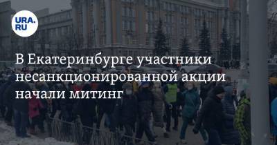 В Екатеринбурге участники несанкционированной акции начали митинг. Фото, видео
