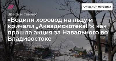 «Водили хоровод на льду и кричали „Аквадискотека!“»: как прошла акция за Навального во Владивостоке