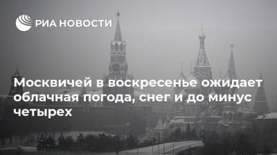 Москвичей в воскресенье ожидает облачная погода, снег и до минус четырех