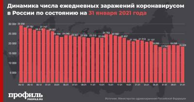 В России вновь зафиксировали спад новых случаев COVID-19