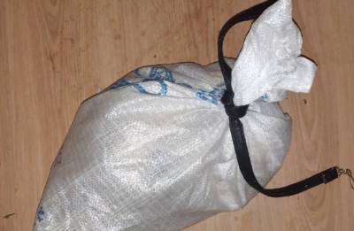 В Башкирии трех кошек положили в мешок и выбросили в мусорный бак
