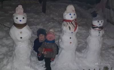 Школьник организовал парад снеговиков
