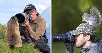 20+ доказательств того, что фотографы диких животных никогда не скучают на своей работе