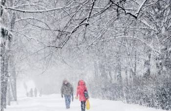 Зима с сюрпризами возвращается в Вологодскую область