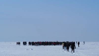 Несанкционированные митинги не нашли поддержки среди жителей Дальнего Востока