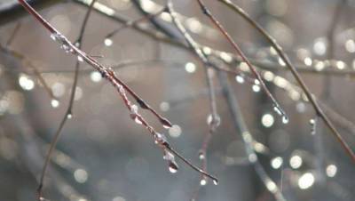Прогноз погоды на февраль дали синоптики