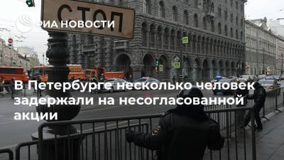 В Петербурге несколько человек задержали на несогласованной акции