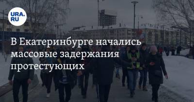 В Екатеринбурге начались массовые задержания протестующих. Видео