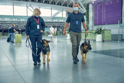 В римском аэропорту появились “антиковидные” собаки