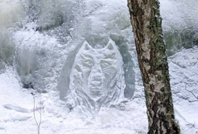 Ледяные звери и цветы: как лесничий украсил парк «Монрепо» в Выборге