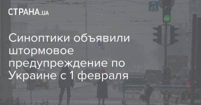 Синоптики объявили штормовое предупреждение по Украине с 1 февраля