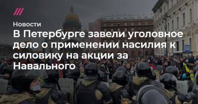 В Петербурге завели уголовное дело о применении насилия к силовику на акции за Навального