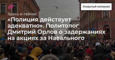 «Полиция действует адекватно». Политолог Дмитрий Орлов о задержаниях на акциях за Навального