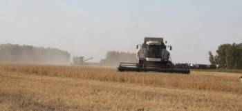 Хрена не хватает: в России упали урожаи всех сельхозкультур, кроме зерна