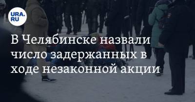 В Челябинске назвали число задержанных в ходе незаконной акции