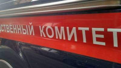 Уголовное дело возбудили по факту нападения на сотрудника ОМОН в Петербурге