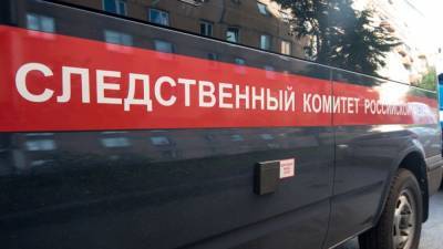 СК возбудил дело против избившего бойца ОМОН петербуржца на незаконной акции