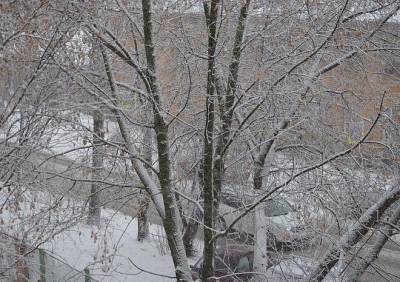 Рязанская мэрия обратилась к водителям в связи со снегопадом