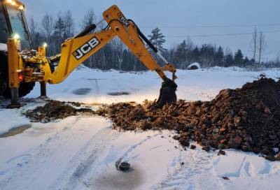 Лебеди в Приморске и дорога на незаконную свалку: главное в Ленобласти за 31 января