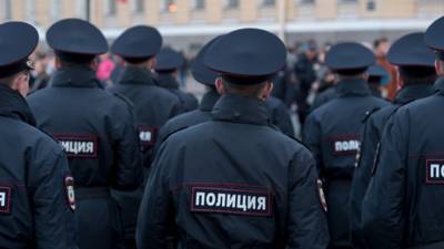 Действия полицейских на незаконной акции в Москве назвали корректными