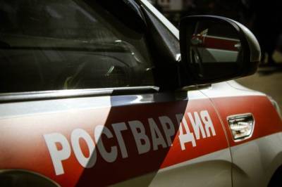 В Москве задержали мужчину, пытавшегося ударить ножом росгвардейца