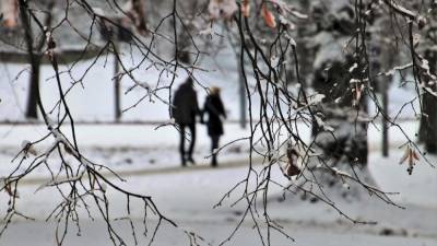 Каким будет февраль в Воронеже, рассказали синоптики