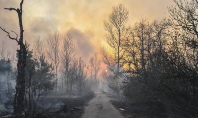 Лесные пожары влияют на радиационное загрязнение зоны ЧАЭС