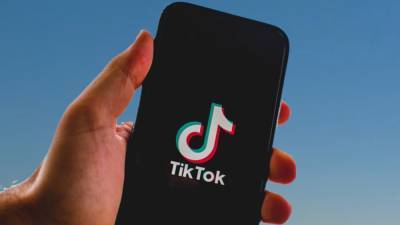 Главной площадкой "по разгону фейков" член ОП РФ Малькевич назвал TikTok