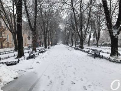 Снег, сильный ветер и гололед: погода в Одессе в первый день февраля