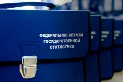 В Хабаровском крае перепишут бизнес: перепись начнется в январе