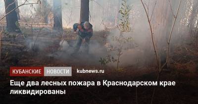 Еще два лесных пожара в Краснодарском крае ликвидированы