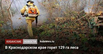 В Краснодарском крае горит 129 га леса