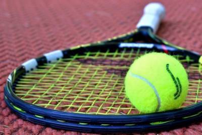 Тамбовчан приглашают на теннисные уроки
