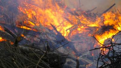 Пожарные тушат в сочинском нацпарке 129 га леса