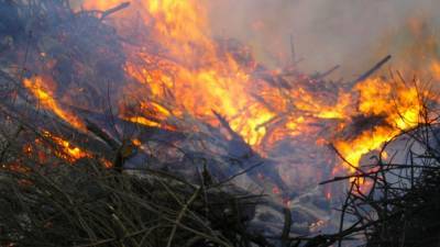 Крупный пожар охватил Сочинский национальный парк