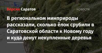 В региональном минприроды рассказали, сколько ёлок срубили в Саратовской области к Новому году и куда денут некупленные деревья