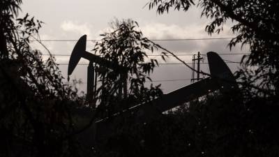 Цена нефти достигла максимума февраля в ожидании решения ОПЕК+