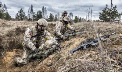 Кто и почему остался недоволен латвийской армией