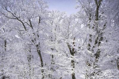 О налипании снега на провода предупредили псковичей
