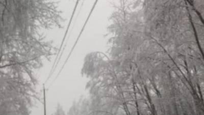 Замглавы Минэнерго контролирует восстановление энергоснабжения в Пскове