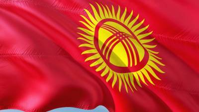 Представитель ЦИК Киргизии рассказала о выборах президента
