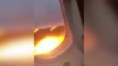 Птица повредила двигатель самолета в Мексике. Видео